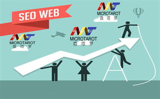 胶南市青岛网站SEO服务商与网络优化公司 解析青岛微塔罗网络优化服务