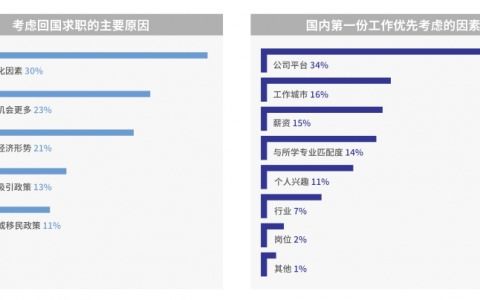 网站优化与网络优化 数字时代提升用户体验与性能的双翼